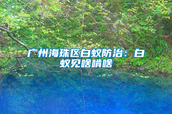 廣州海珠區(qū)白蟻防治:白蟻見啥啃啥