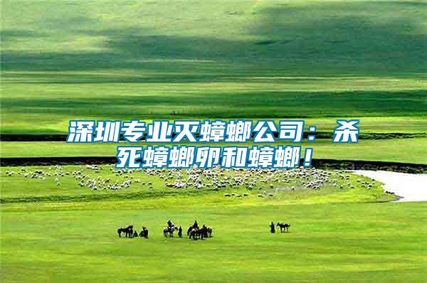 深圳專業(yè)滅蟑螂公司：殺死蟑螂卵和蟑螂！