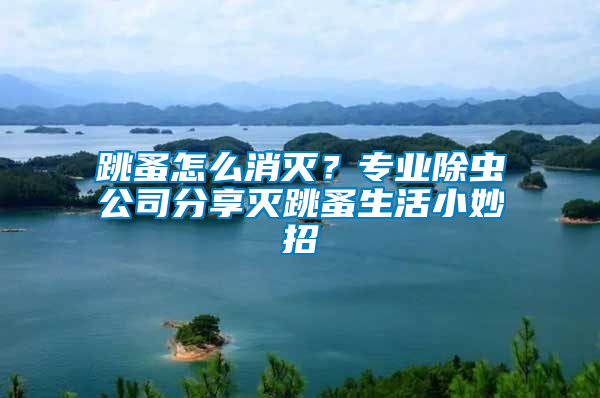 跳蚤怎么消滅？專業(yè)除蟲(chóng)公司分享滅跳蚤生活小妙招
