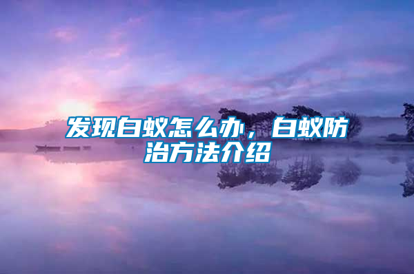發現白蟻怎么辦，白蟻防治方法介紹
