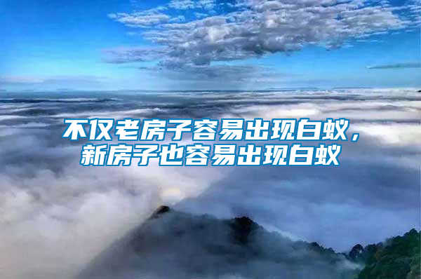 不僅老房子容易出現白蟻，新房子也容易出現白蟻
