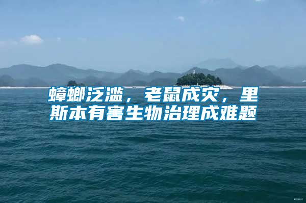 蟑螂泛濫，老鼠成災(zāi)，里斯本有害生物治理成難題