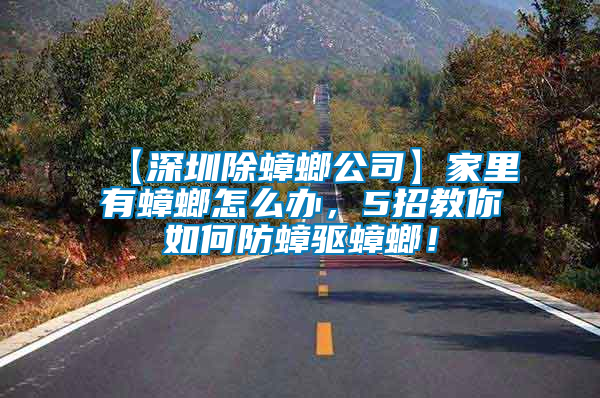 【深圳除蟑螂公司】家里有蟑螂怎么辦，5招教你如何防蟑驅蟑螂！