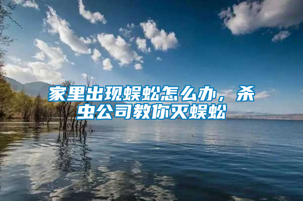 家里出現(xiàn)蜈蚣怎么辦,殺蟲公司教你滅蜈蚣