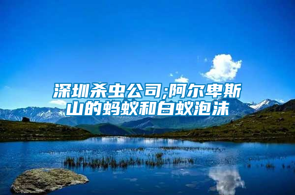 深圳殺蟲(chóng)公司;阿爾卑斯山的螞蟻和白蟻泡沫