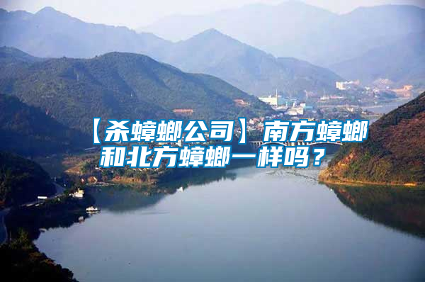 【殺蟑螂公司】南方蟑螂和北方蟑螂一樣嗎？
