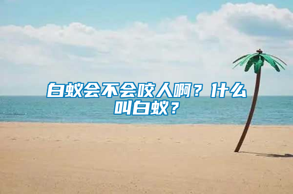 白蟻會不會咬人啊？什么叫白蟻？
