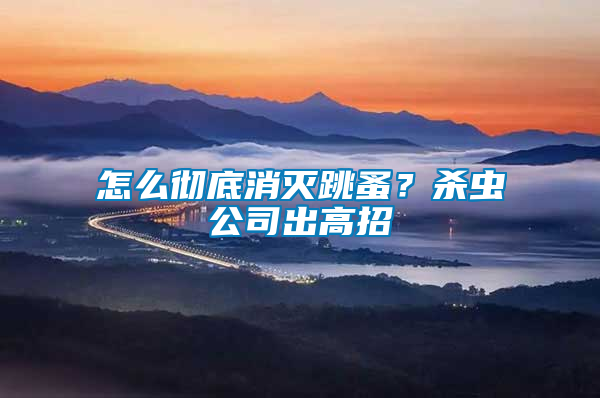 怎么徹底消滅跳蚤？殺蟲公司出高招