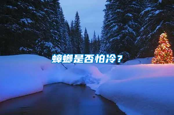 蟑螂是否怕冷？