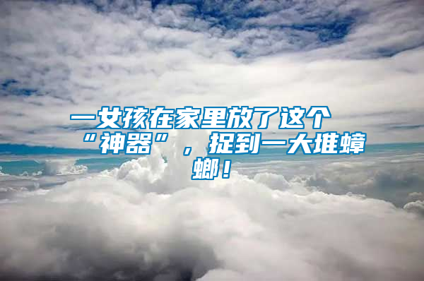 一女孩在家里放了這個“神器”，捉到一大堆蟑螂！