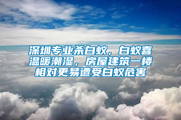 深圳專業殺白蟻，白蟻喜溫暖潮濕，房屋建筑一樓相對更易遭受白蟻危害