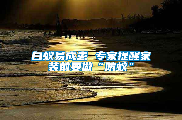 白蟻易成患 專(zhuān)家提醒家裝前要做“防蟻”