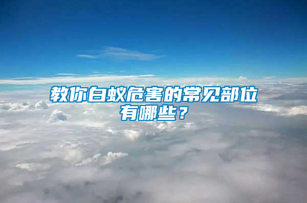 教你白蟻危害的常見部位有哪些？