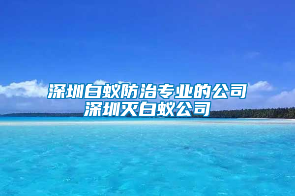 深圳白蟻防治專業的公司深圳滅白蟻公司