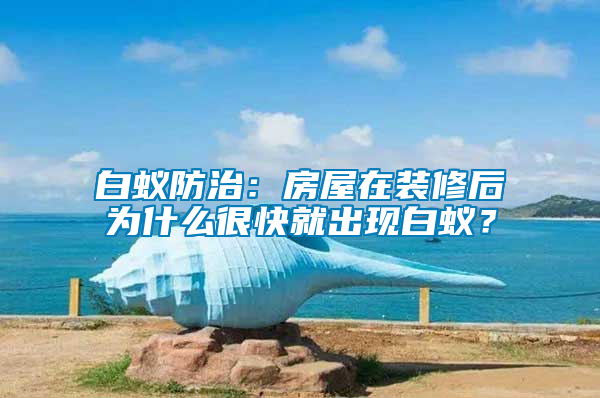 白蟻防治：房屋在裝修后為什么很快就出現白蟻？