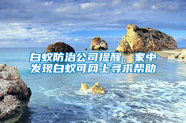 白蟻防治公司提醒，家中發現白蟻可網上尋求幫助