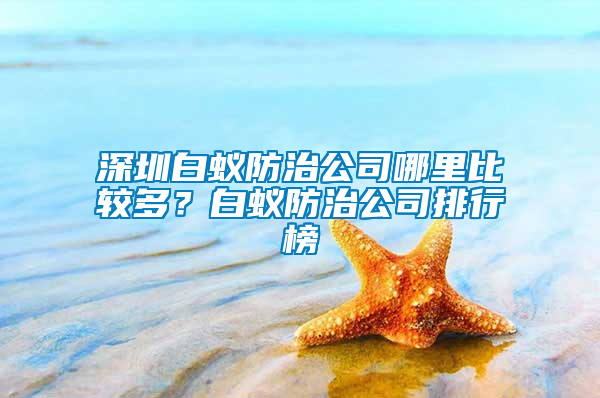 深圳白蟻防治公司哪里比較多？白蟻防治公司排行榜