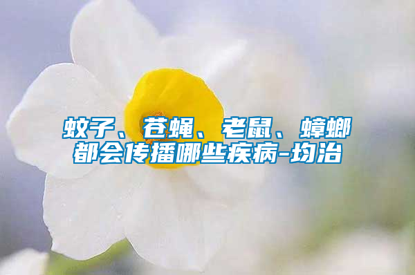 蚊子、蒼蠅、老鼠、蟑螂都會(huì)傳播哪些疾病-均治
