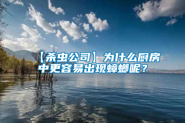【殺蟲公司】為什么廚房中更容易出現蟑螂呢？