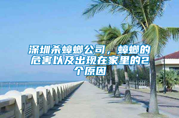 深圳殺蟑螂公司，蟑螂的危害以及出現在家里的2個原因