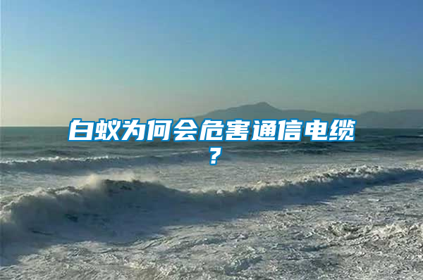 白蟻為何會危害通信電纜？